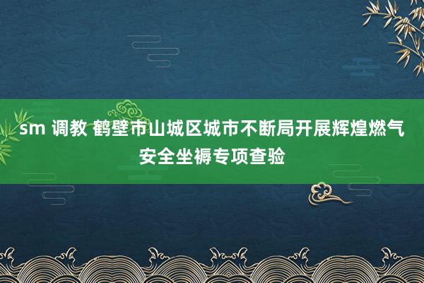 sm 调教 鹤壁市山城区城市不断局开展辉煌燃气安全坐褥专项查验