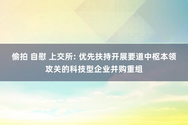 偷拍 自慰 上交所: 优先扶持开展要道中枢本领攻关的科技型企业并购重组
