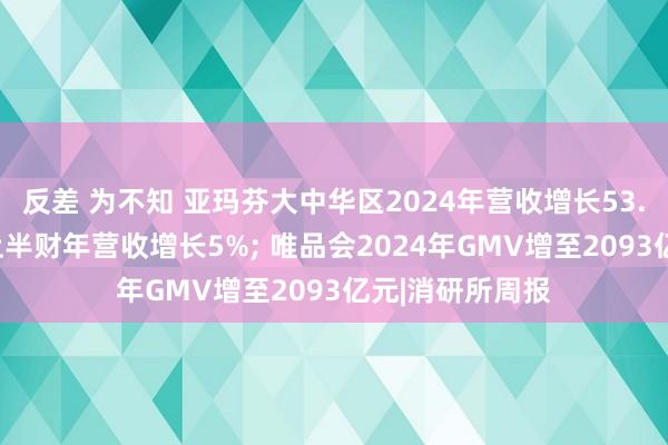 反差 为不知 亚玛芬大中华区2024年营收增长53.7%;江南布衣上半财年营收增长5%; 唯品会2024年GMV增至2093亿元|消研所周报